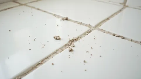 czym wyczyścić fugi po remoncie